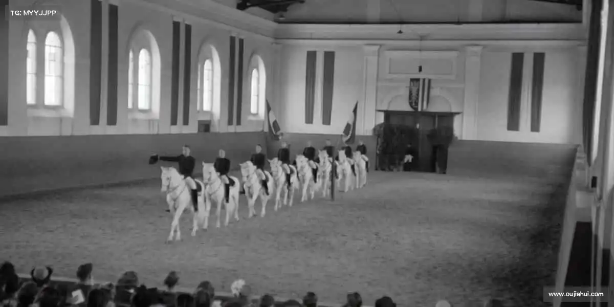 为什么选择我们